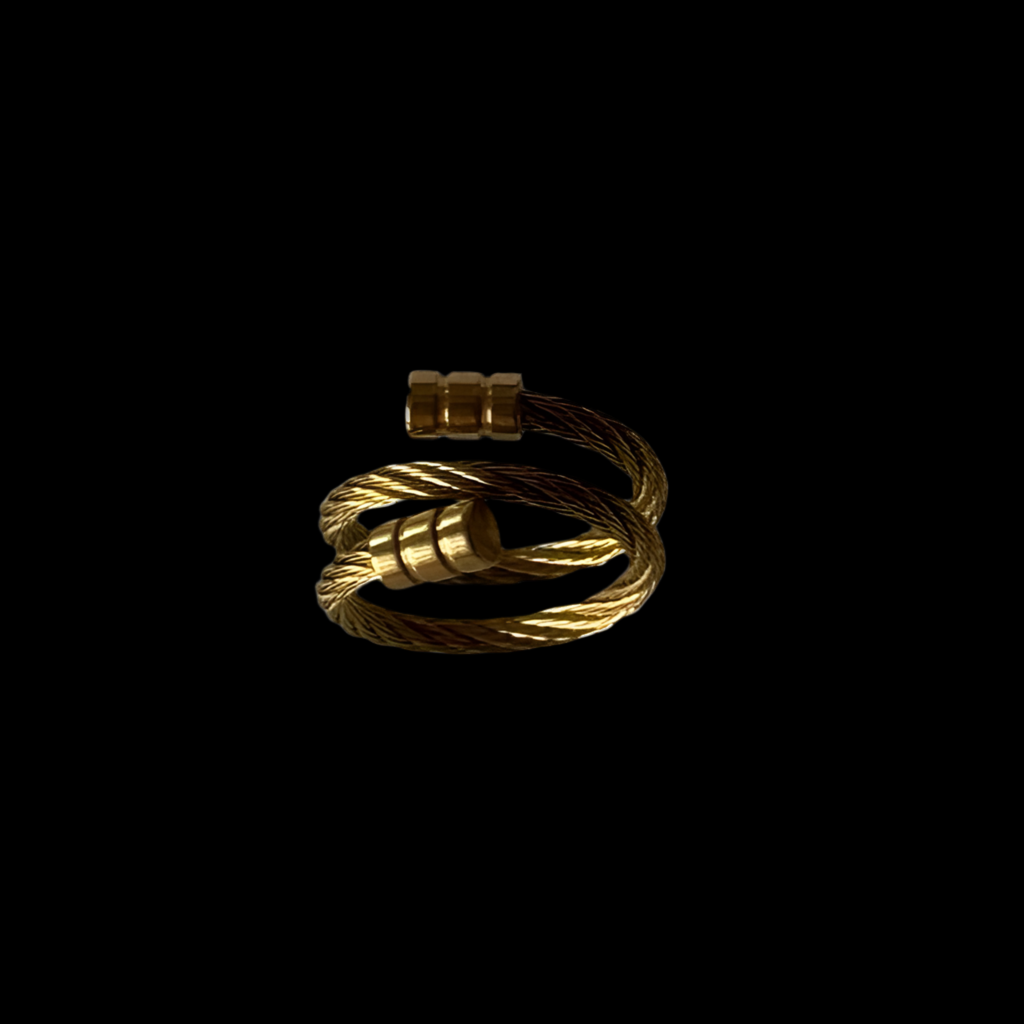 Twirler Adjustable Ring | 18kt Gold Plated